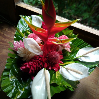 Fleur Tropical Guadeloupe